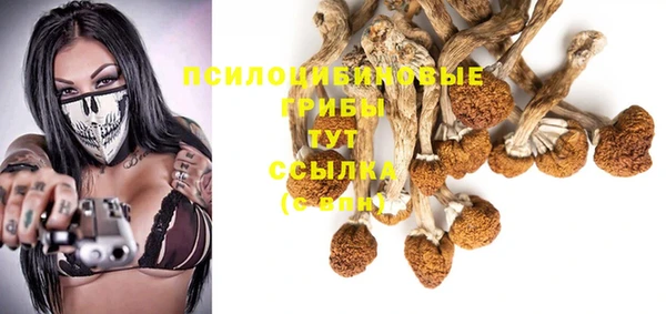 ALPHA PVP Алапаевск