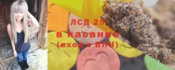 ГАЛЛЮЦИНОГЕННЫЕ ГРИБЫ Надым