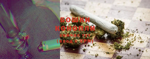 ГАЛЛЮЦИНОГЕННЫЕ ГРИБЫ Надым